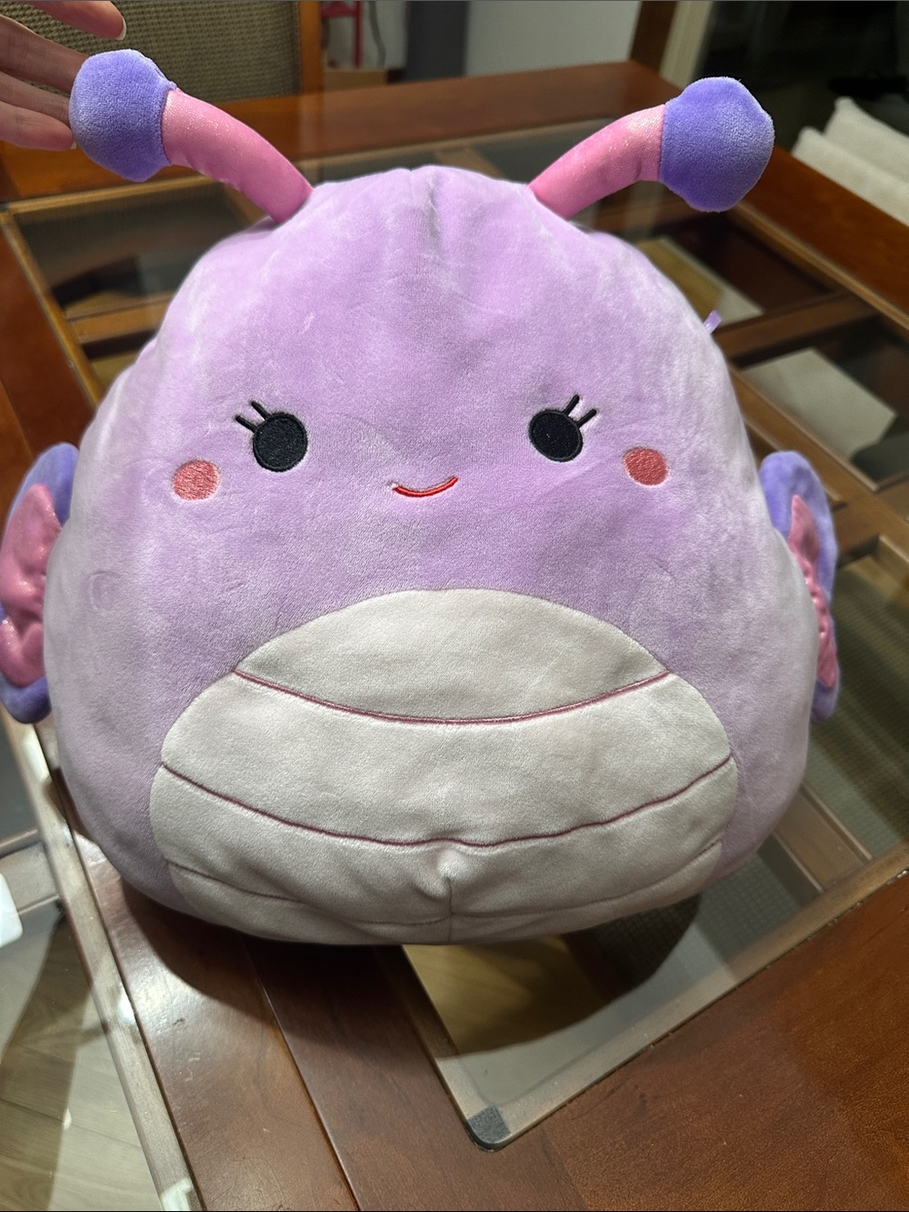 Squishmallows Purple and Pink Butterfly Bug Plush